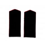 Погоны на мундир казака Донского казачьего войска