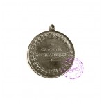 Медаль «За спасение погибавших»