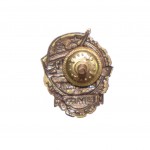 Нагрудный знак "Отличник ВМФ"