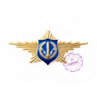 Знак Роты Почетного Караула ВС РФ войск РВСН латунный 