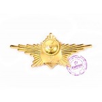 Знак Роты Почетного Караула ВС РФ войск РВСН латунный 