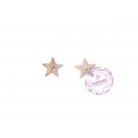 Пара серебристых погонных звезд 13 мм