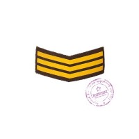 Нарукавная пластизолевая нашивка на повседневный китель прапорщика 3 года службы